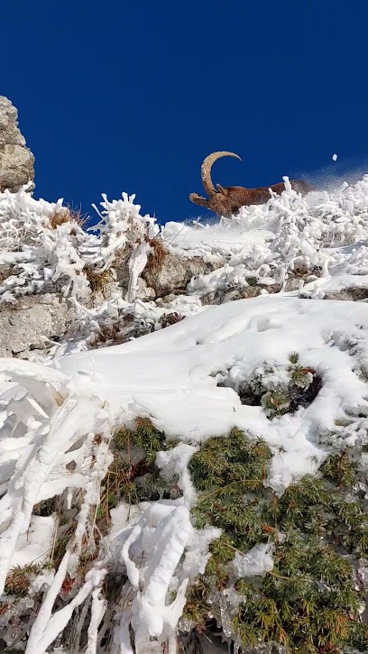 La Poste, Bureau de Poste à Luc-en-Diois