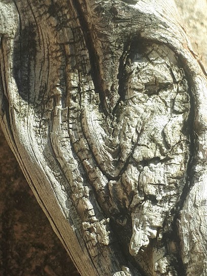 La Poste, Bureau de Poste à Vals-les-Bains