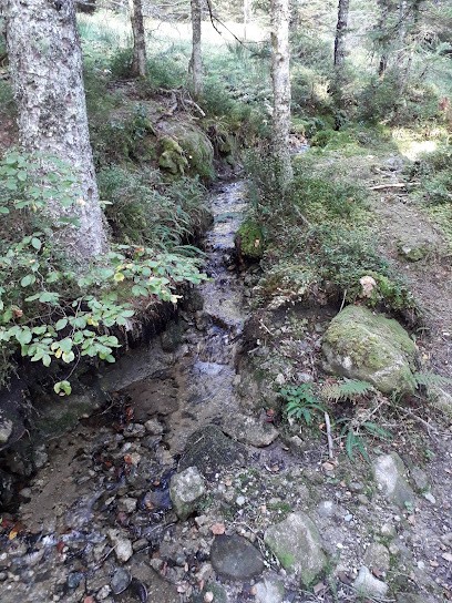 La Poste Plate Forme Courrier, Bureau de Poste à Saint-Jean-de-Verges