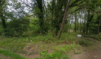 La Poste, Bureau de Poste à Saint-Michel-de-Castelnau